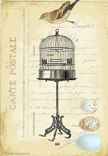 BirdCageRevised