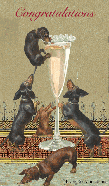 ChampagneDogs